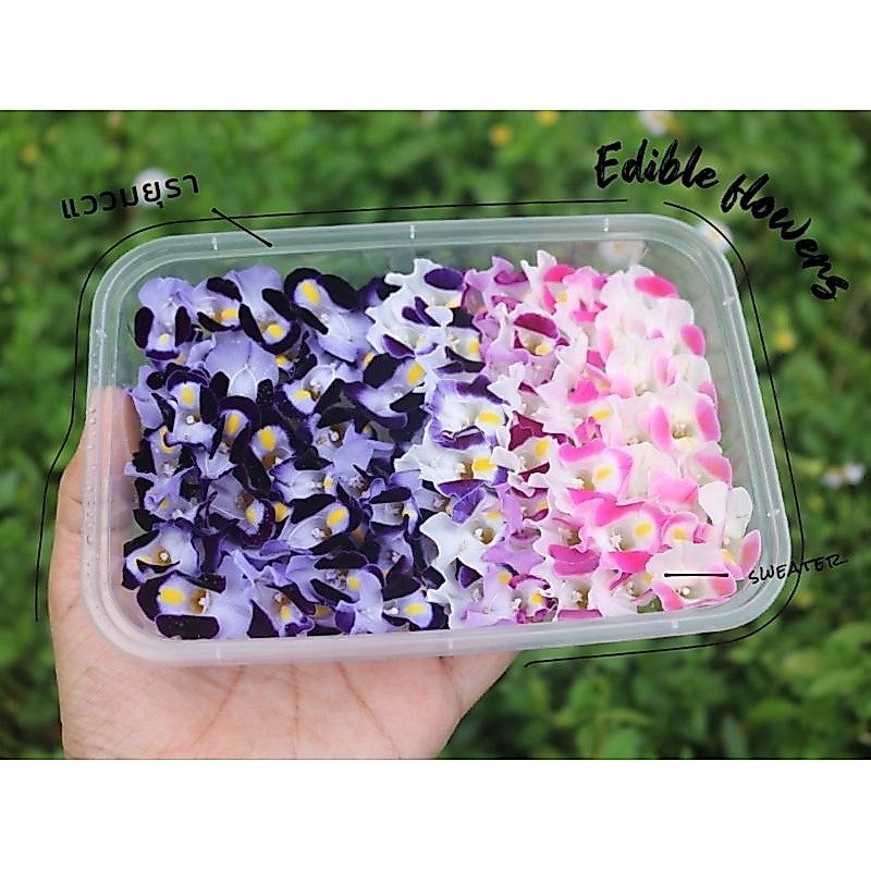 Edible Flowersเมล็ดดอกไม้กินได้  แววมยุราคละสี  200เมล็ด 39บาทแถมฟรีพีชมอส
