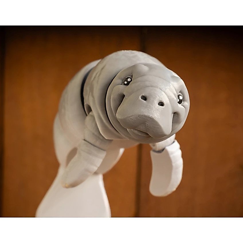 ของเล่น Cuero Sea Cow Dugong Manatee Articulation Flexi ตัวเลขสัตว์ทะเลที่ไม่ซ้ํากัน