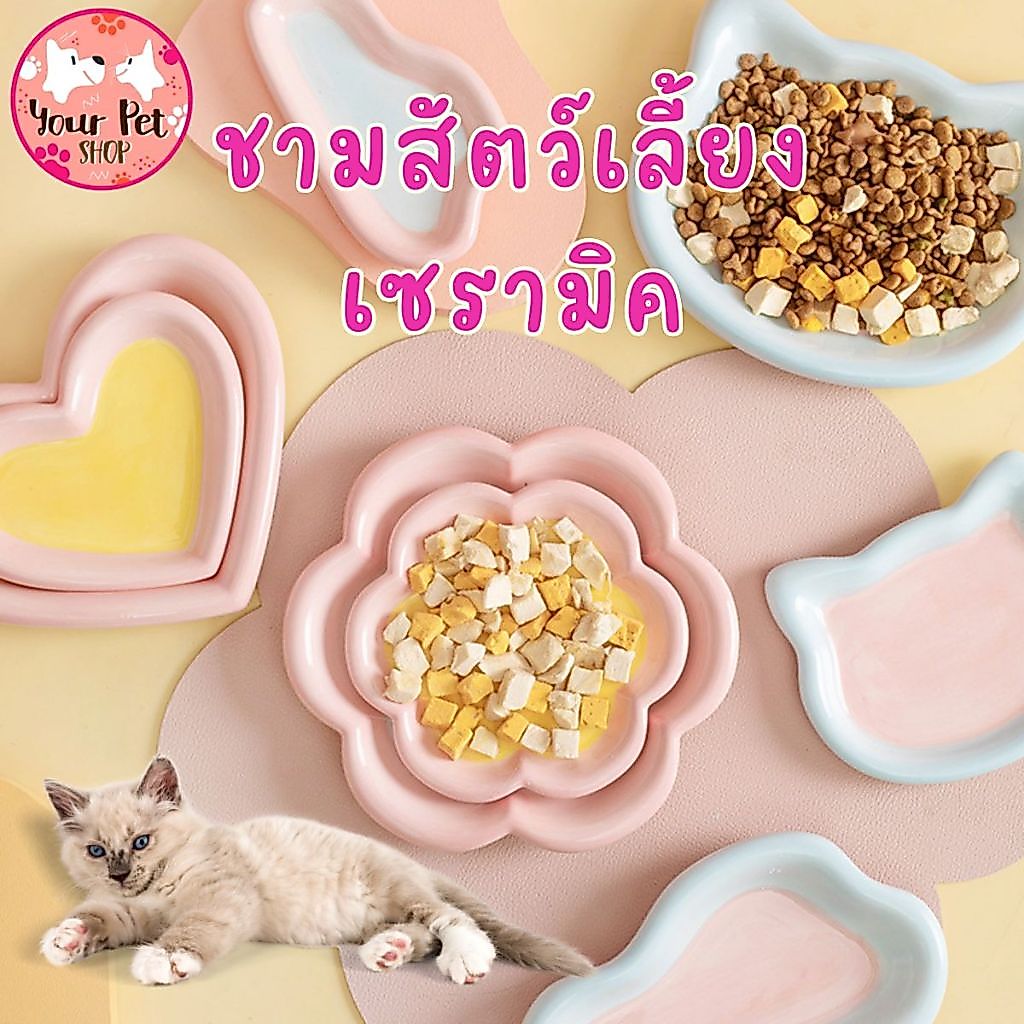 ชามเซรามิคแบน จานอาหารแมว หมา สุนัข Bowl เซรามิก ระบายมือ