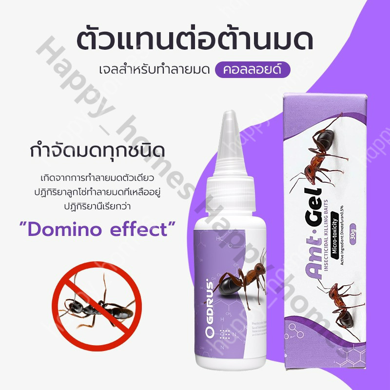 Antiant เจลกำจัดมด แอนติแอนท์ เหยื่อกำจัดมด เจลล่อมด หยดเดียวตายยกรัง 50g/30g เพิ่มปริมานขึ้น