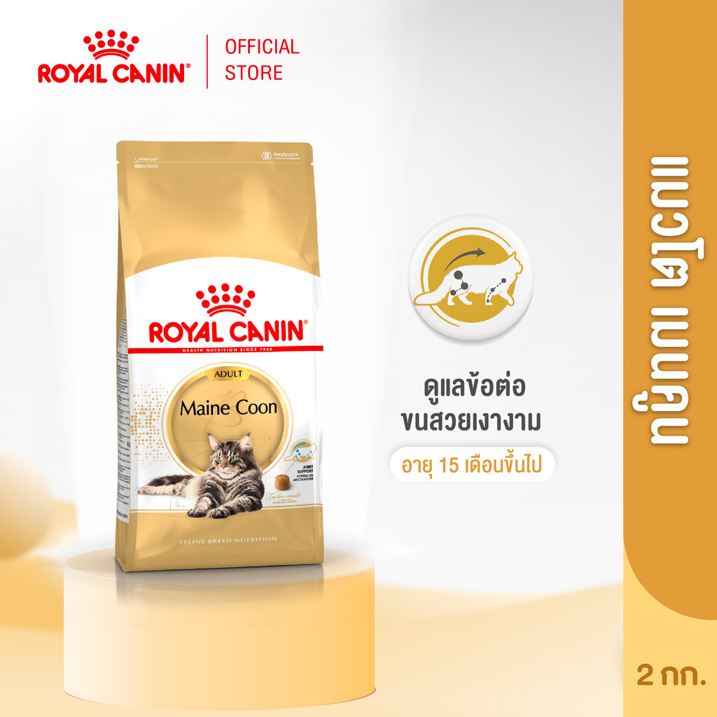 Royal Canin Mainecoon Adult 2kg อาหารเม็ดแมวโต พันธุ์เมนคูน อายุ 15 เดือนขึ้นไป (Dry Cat Food, โรยัล คานิน)
