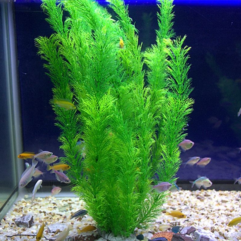 装饰植物水族造景假水草装饰 柔软水草 塑料水草绿色仿真水草鱼缸Decorative plants aquarium landscaping fake aquatic plants decorative