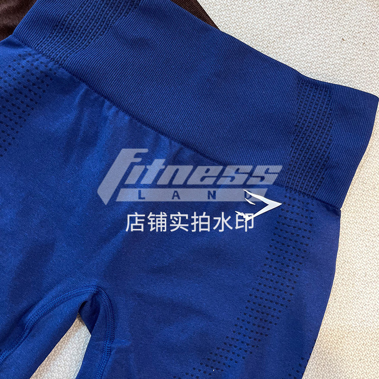 GYMSHARK กางเกงขาสั้นกีฬาสูง VITAL SEAMLESS 2.0 SHORTS