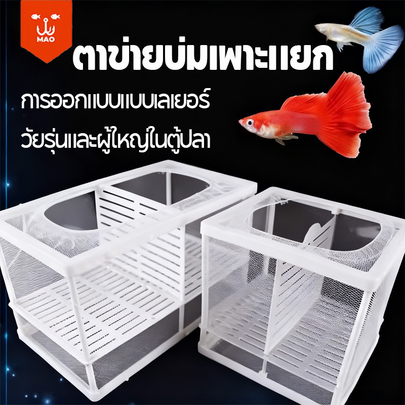 ตาข่าย กล่องตะข่าย แยกปลาลูกปลาขนาน เพาะพันธุ์ปลา+ฟักไข่ (ตู้ฟักไข่ปลา) ทนทาน ใช้งานได้ดี