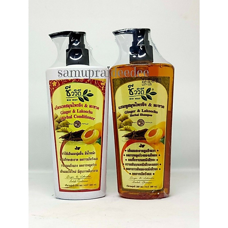 แชมพูสมุนไพรขิง&มะหาด ชีววิถี ปริมาณสุทธิ 300ml
