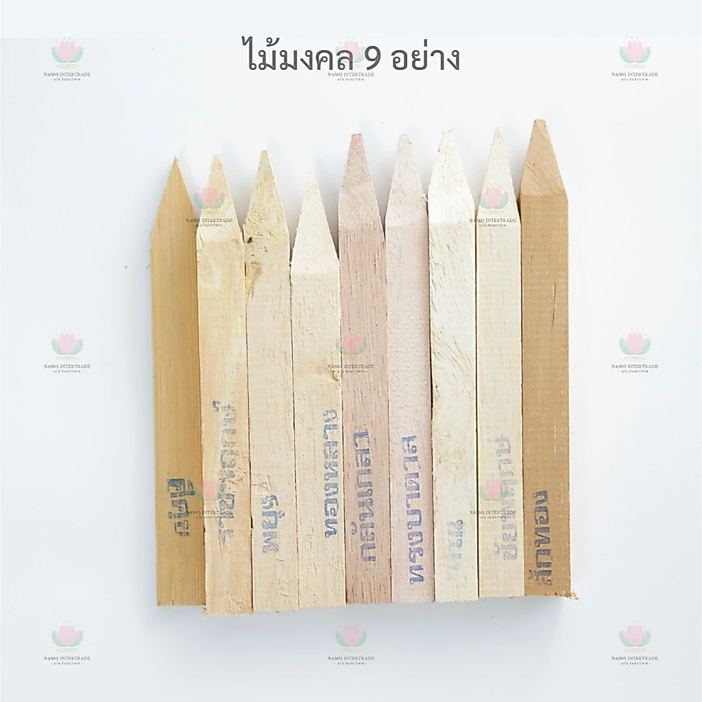 ไม้มงคล 9 อย่าง ไม้มงคลโชคลาภ