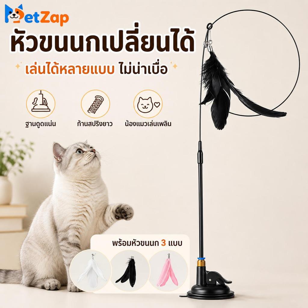 【PetZap】ไม้ล่อแมวติดกระจก ของเล่นแมวแก้เบื่อ ฐานดูดสูญญากาศ ด้ามยาว แมวเล่นสนุก COD CW-035