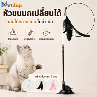 【PetZap】ไม้ล่อแมวติดกระจก ของเล่นแมวแก้เบื่อ ฐานดูดสูญญากาศ ด้ามยาว แมวเล่นสนุก COD CW-035