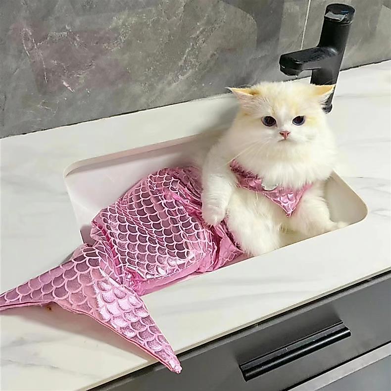 ชุดว่ายน้ำหมาแมว นางเงือก Mermaid Tail เสื้อหมา pet clothes ใส่ถ่ายรูป น่ารัก พร้อมโบว์ เที่ยวทะเล