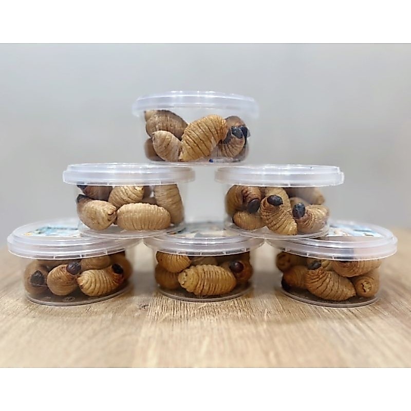 หนอนด้วงฟรีซดราย 25 กรัม สำหรับชูการ์ เม่นแคระ ลิง กระรอก แฮมสเตอร์ บุชเบบี้