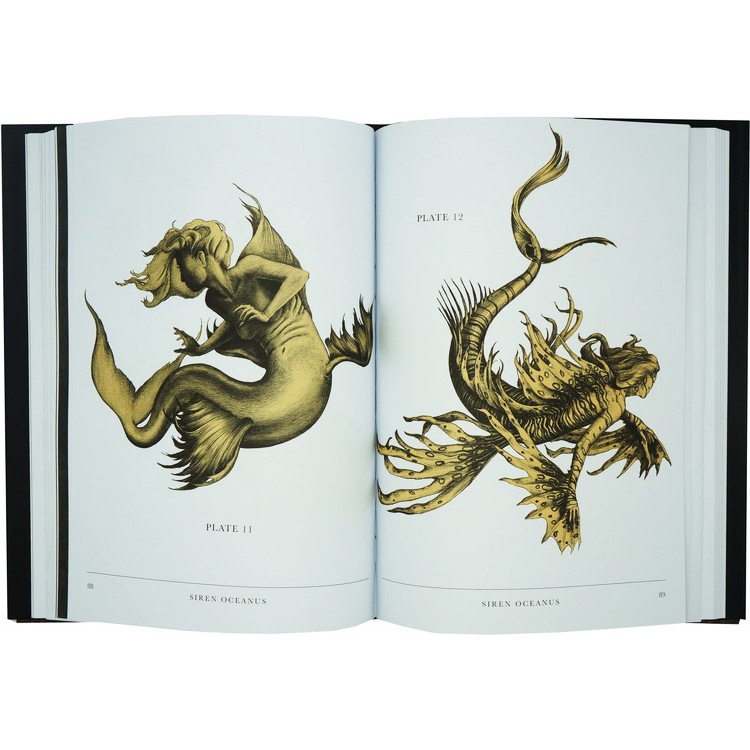 พร้อมสต็อก The Resurrectionist The Resurrectionist English Mythology The Art of The Beast Anatomy Bo