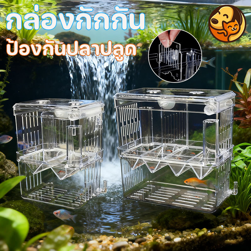 COD สีใส แยกได้ 2 ช่อง แยกปลาป่วย กล่องแยกปลา มี 2ขนาด ปลาคลอดลูก 2ช่อง เพาะพันธุ์ปลา แยกลูกกุ้ง