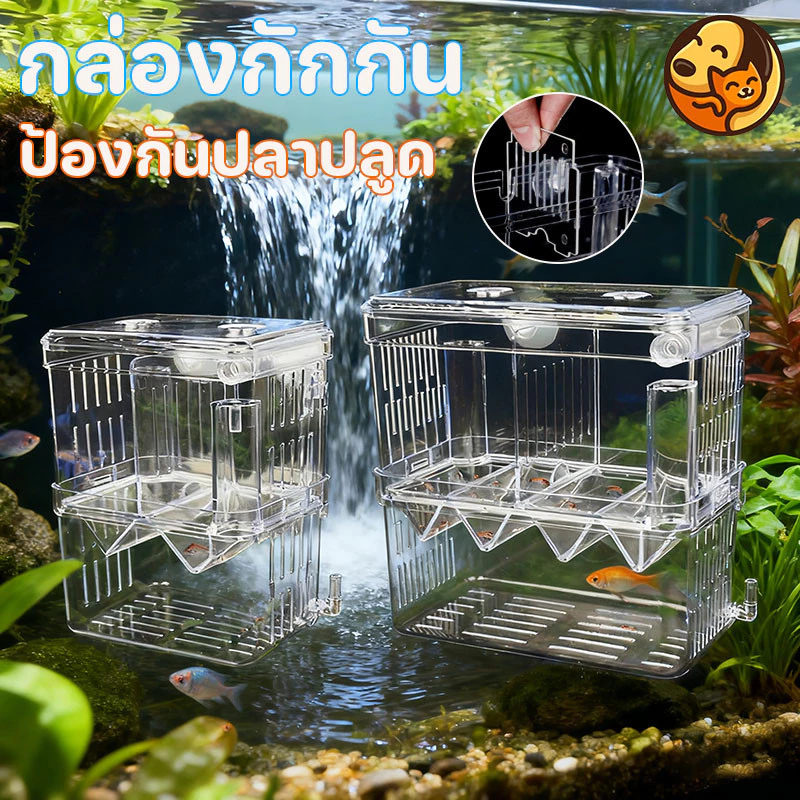 COD สีใส แยกได้ 2 ช่อง แยกปลาป่วย กล่องแยกปลา มี 2ขนาด ปลาคลอดลูก 2ช่อง เพาะพันธุ์ปลา แยกลูกกุ้ง