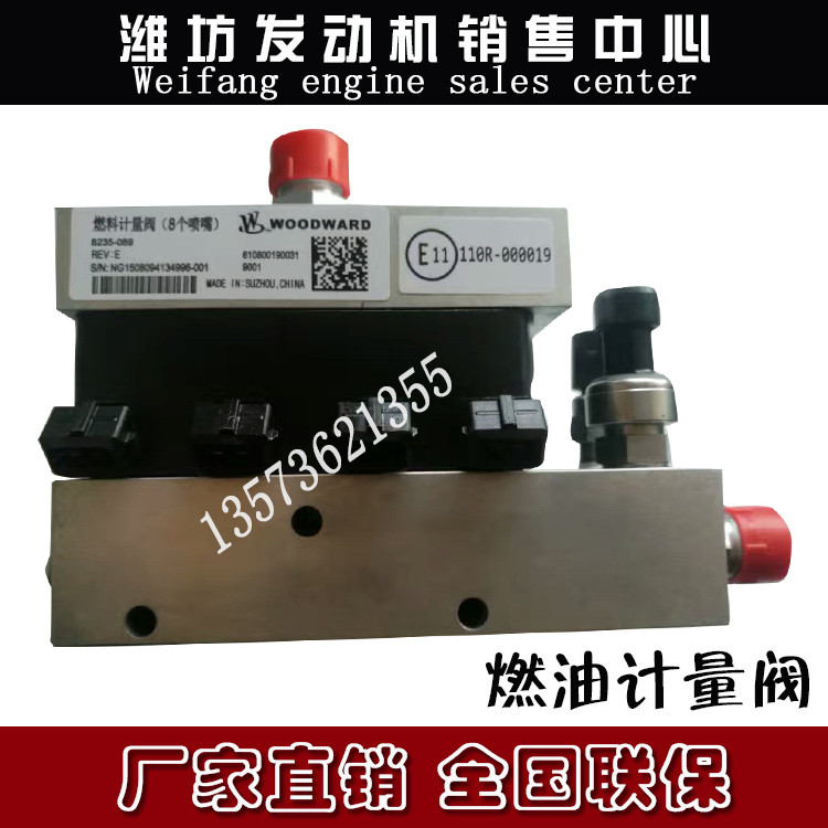 วาล์ววัดน้ํามันเชื้อเพลิง 8 หัวฉีด 12 วาล์วเจ็ท Chai WP5 WP6 WP7 เครื่องยนต์ก๊าซธรรมชาติ WP12 WP13