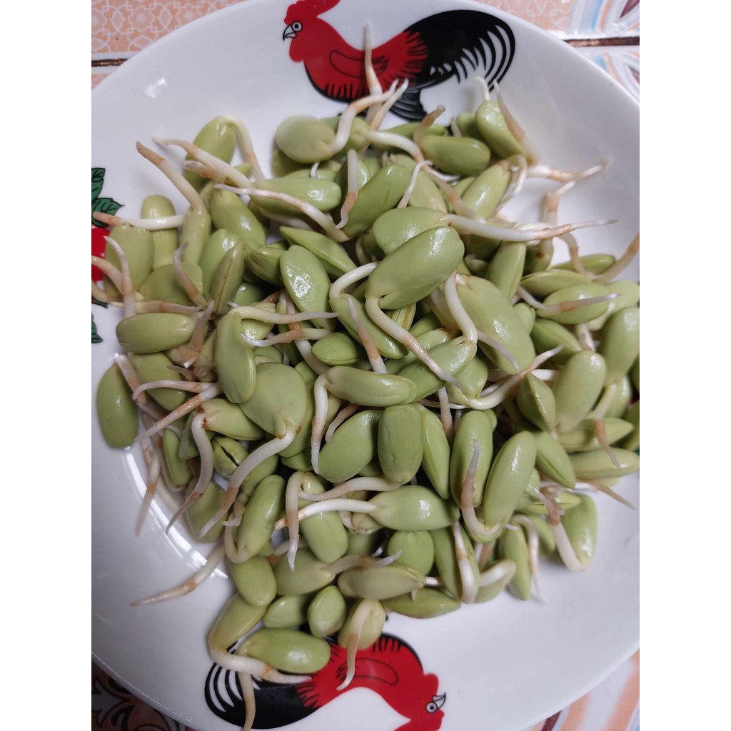 ลูกเหรียงสดๆ ปริมาณ 500 กรัม - รูปที่ 2