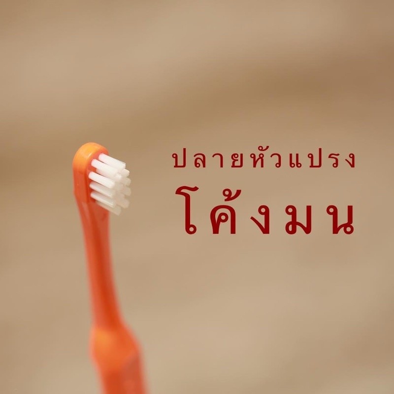 Mall Molar bear แปรงสีฟันเด็ก ชุดจัดเซต ฟันซี่แรกใช้ โมล่าร์แบร์ - รูปที่ 3