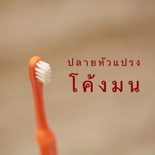 Mall Molar bear แปรงสีฟันเด็ก ชุดจัดเซต ฟันซี่แรกใช้ โมล่าร์แบร์