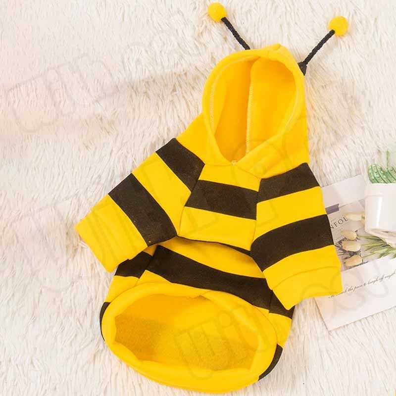 รูปภาพ 7