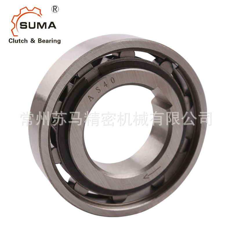 AS/NSS/TSS Series ลูกกลิ้งคอลัมน์ประเภทแบริ่งทางเดียว AS40 NSS40 TSS40 แบริ่งทางเดียว