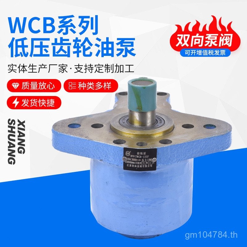 Gear Gear Model Gear Oil Pump Multi-Diamond Oil Pump CB-BW-16WCB-63 Oil Pump CB-BW Direct Type WFOG