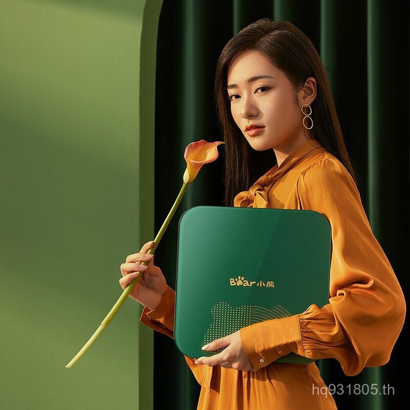 DZC-E01Y5DZC-V18G1 DZC-D0K5 DZC-D18K5 DZC-D18A1 หมีเครื่องชั่งอิเล็กทรอนิกส์ ZDLT