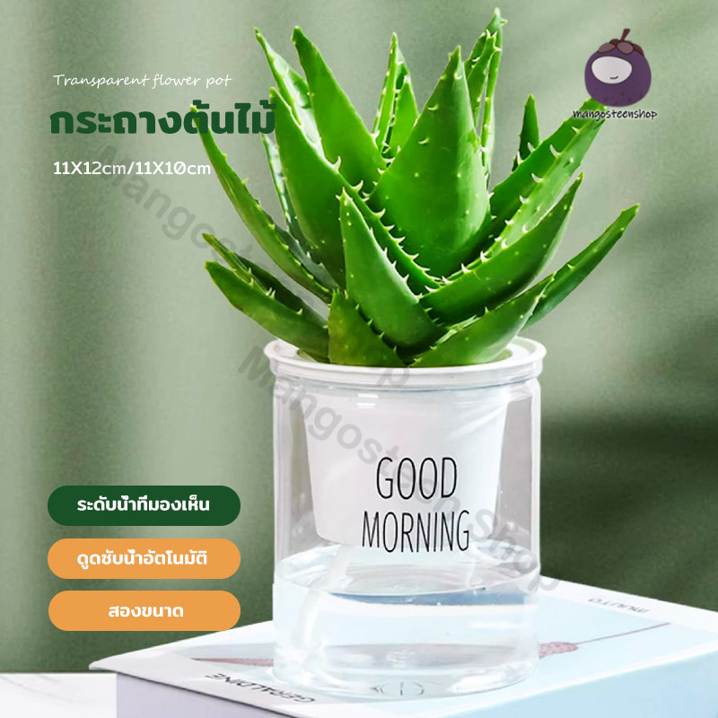 กระถางรดน้ำอัตโนมัติ มินิ กระถางใส พลาสติก พกพา เหมาะตั้งโต๊ะ คอนโด