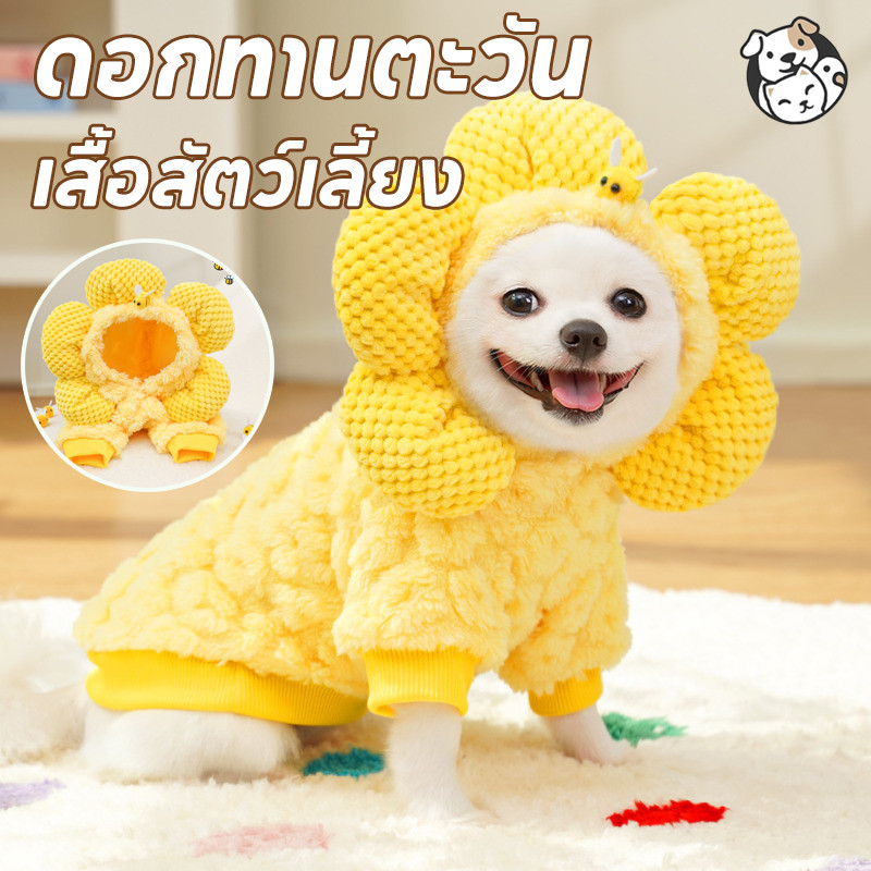 FOR_PET ดอกทานตะวัน เสื้อผ้าสัตว์เลี้ยงนุ่ม เสื้อสัตว์เลี้ยง ใส่สบาย ให้ความอบอุ่น ปลอกคอสัตว์เลี้ยง