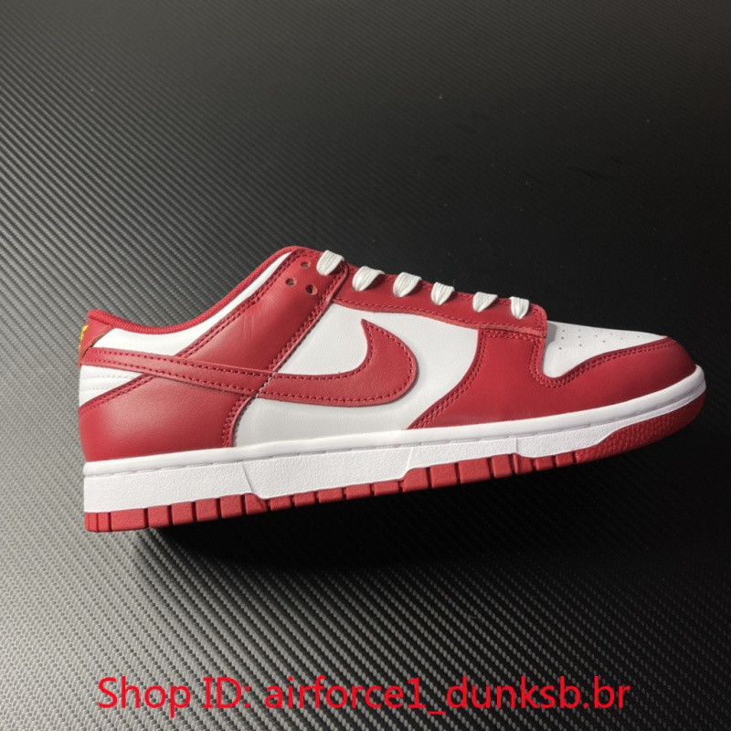 Nike Dunk Low Southern California University DD1391 602