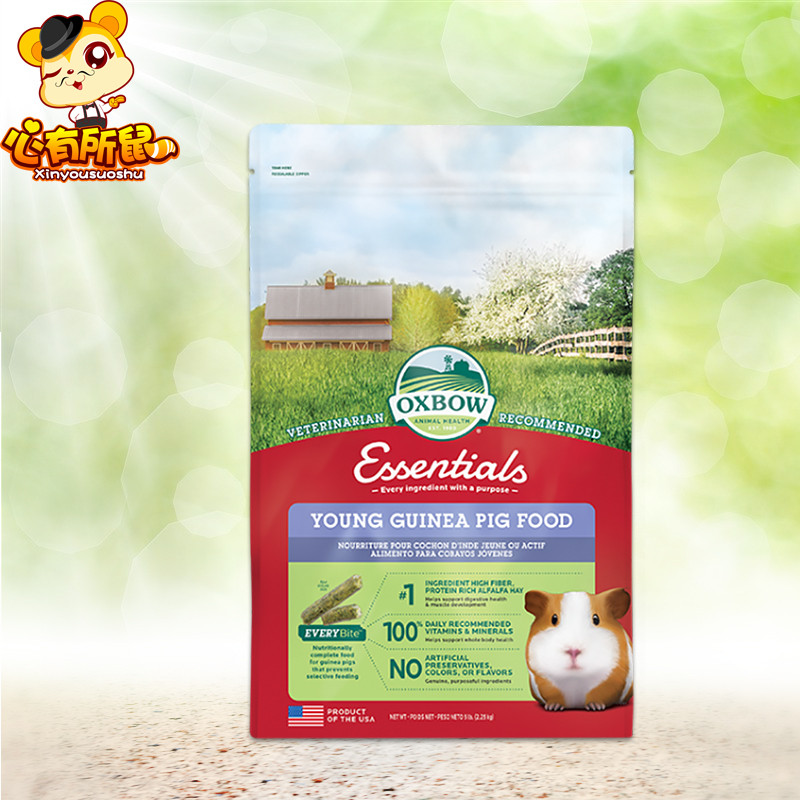 American Oxbow Oxbow Young Guinea Pig Food 5lb อาหารหนูตะเภาหนูตะเภาหนูตะเภาให้อาหารหนูตะเภาอาหารหลั