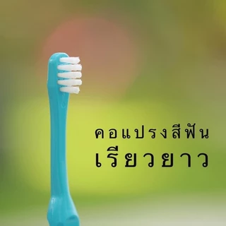 Mall Molar bear แปรงสีฟันเด็ก คละแบบ เลือกสีได้ ฟันซี่แรกใช้ โมล่าร์แบร์