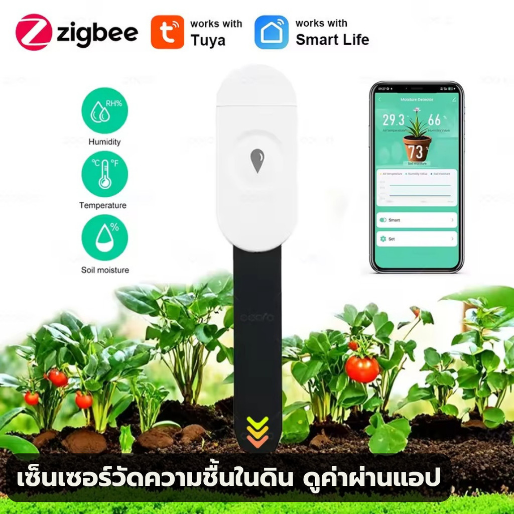Tuya Zigbee Soil Sensor เซ็นเซอร์วัดความชื้นในดิน อุณหภูมิความชื้นในอากาศผ่านสัญญาณ Zigbee (ZG-303Z)