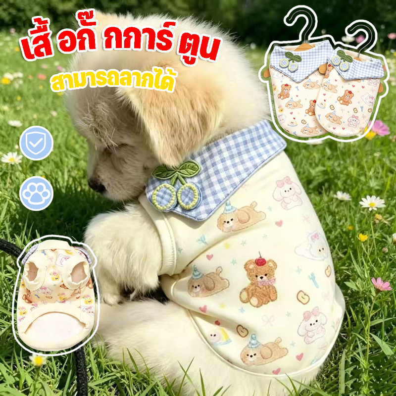 เสื้อกั๊กสัตว์เลี้ยง สำหรับหมาและแมว แบบบาง เสื้อกั๊กน่ารัก ลายการ์ตูน ระบายอากาศ สุนัขขนาดเล็ก