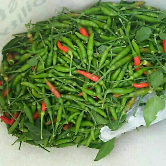 🌶️พริกขี้หนูสวน พริกขี้หนูหอม สดจากไร่เม็ดใหญ่เต่งตึง ปริมาณ 100 กรัมและ 500 กรัม คัดให้ชอบเขียวหรือแดง