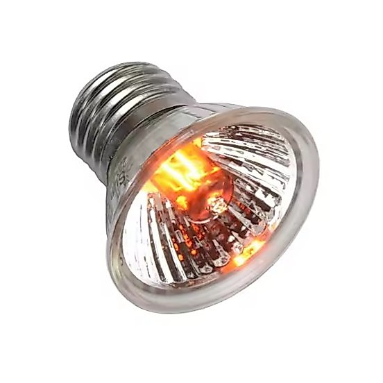 [ส่งด่วน] Lucky Herp Halogen Heat Lamp หลอดไฟฮาโลเจน ให้แสงสว่าง+ความร้อน สำหรับกกไฟกลางวัน