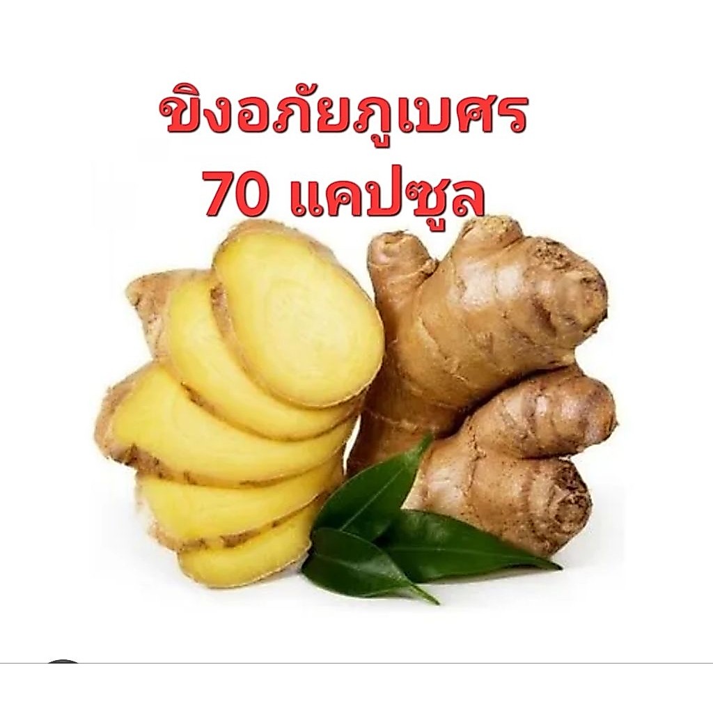 ขิงแคปซูลอภับภูเบศร70 แคปซูล