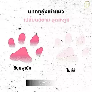 แทททูอุ้งเท้าแมว เปลี่ยนสีตามอุณหภูมิ 35°C 3แบบ ขนาด 8×6 ซม. สนุกไม่ซ้ำใคร ของเล่นน่ารัก tattoosticker