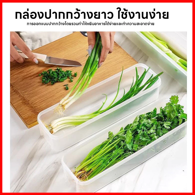⚡พร้อมส่งจากไทย⚡ กล่องเก็บผักผลไม้  กล่องรักษาความสด ยืดอายุผักผลไม้ให้สดใหม่ เก็บได้นานขึ้น จัดตู้เย็นเป็นระเบียบ thumbnail 9