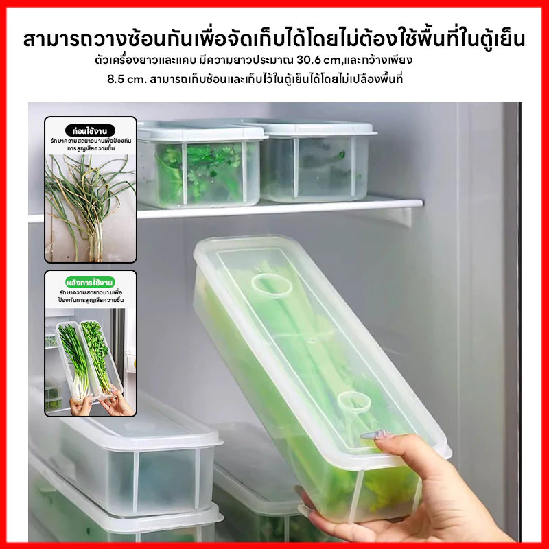 ⚡พร้อมส่งจากไทย⚡ กล่องเก็บผักผลไม้  กล่องรักษาความสด ยืดอายุผักผลไม้ให้สดใหม่ เก็บได้นานขึ้น จัดตู้เย็นเป็นระเบียบ thumbnail 10