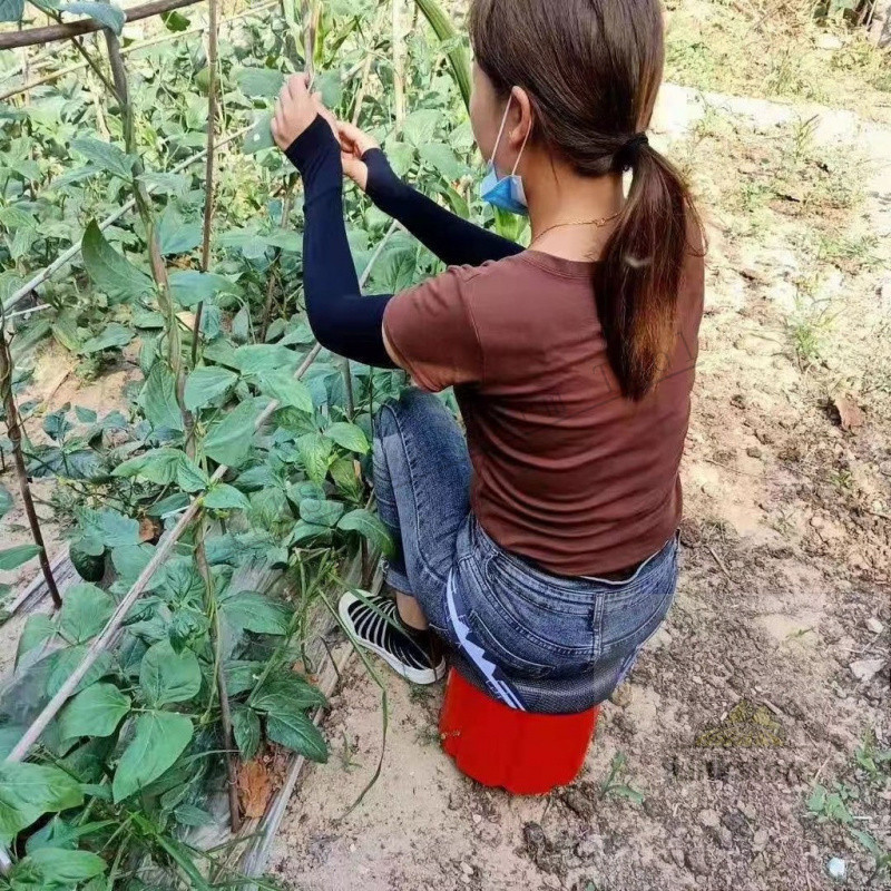 สตูลเก็บของเกษตร สตูลเก็บของเรือนกระจก สตูลเก็บของพิเศษ สตูลเก็บของขี้เกียจ สตูลเก็บผัก สตูลเก็บทะเล สตูลเก็บของแบบพกพา 
