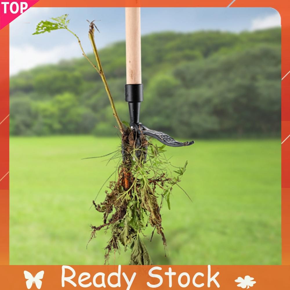 【จัดส่งในพื้นที่】Stand-Up เครื่องมือดึงวัชพืชมือแนวตั้งคู่มือกําจัดวัชพืช Rooter