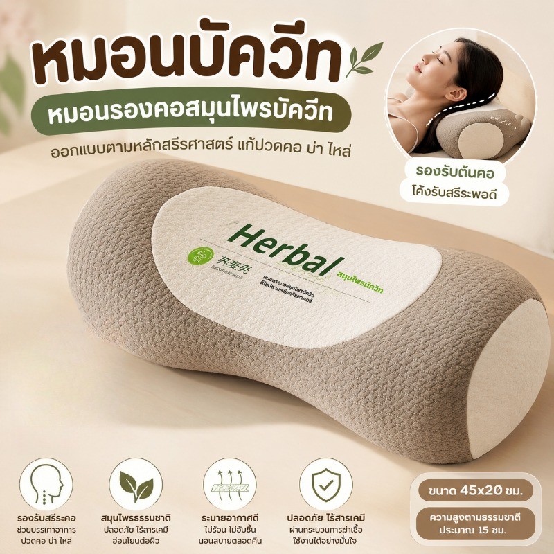 หมอนบัควีท หมอนรองคอดึงรั้ หมอนรองคอสมุนไพรบัควีทตามหลักสรีรศาสตร์  แก้ปวดคอ