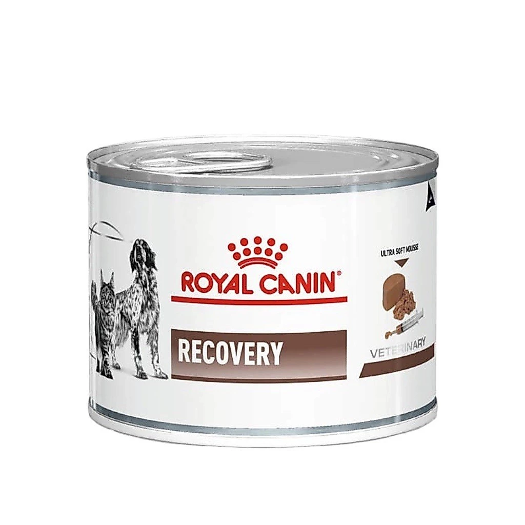 Royal Canin Recovery 195 กรัม 1 กระป๋อง อาหารสุนัขและแมว ระยะพักฟื้นหรือป่วย