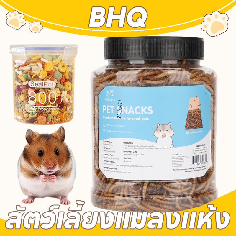BHQ หนอนอบแห้ง หนอนอาหาร หนอนอาหารแห้ง อาหารหนูแฮมเตอร์ หนอนนก 1500ML  สัตว์เลี้ยงแมลงแห้ง