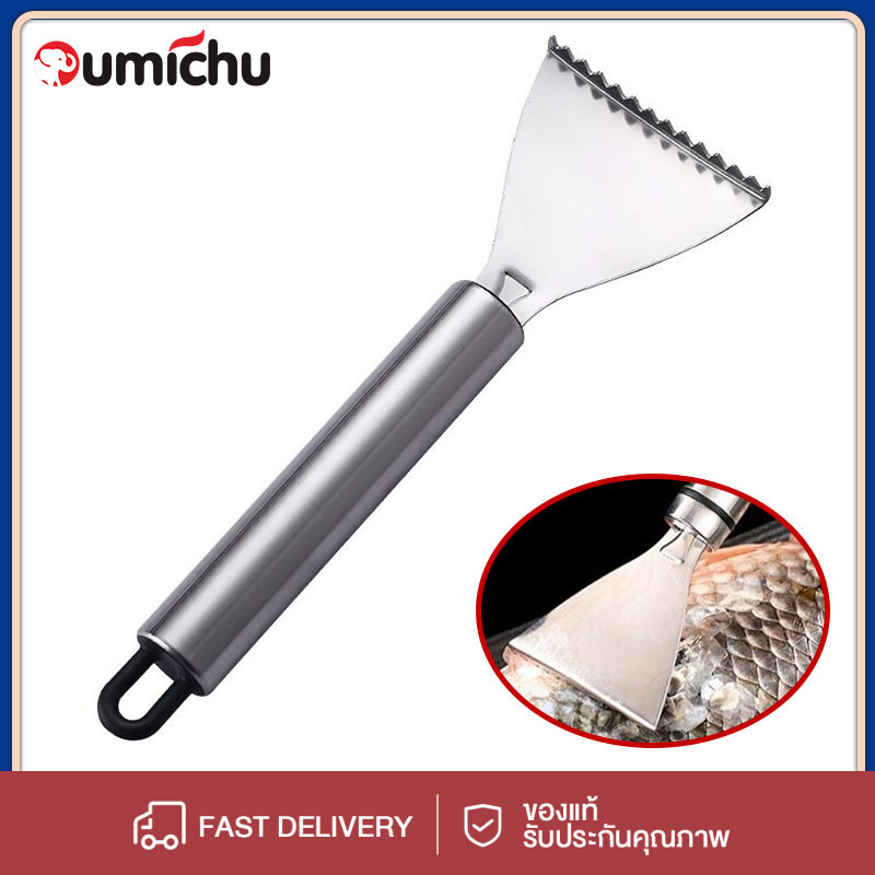 OMC เหล็กไร้สนิม เครื่องกำจัดเกล็ดปลา การทำอาหารการทำอาหาร มือจับสแตนเลส เครื่องขูดเกล็ดปลา บ้านในบ้าน เรียบเนียน