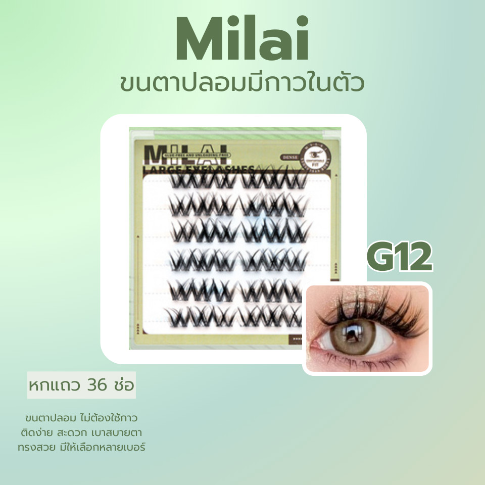 【G12ดอกบัวบาน】MILAI ขนตาปลอมกาวในตัว เส้นขนเรียงสวย ดูฟุ้งๆ  เบาสบาย ไม่หนักตา