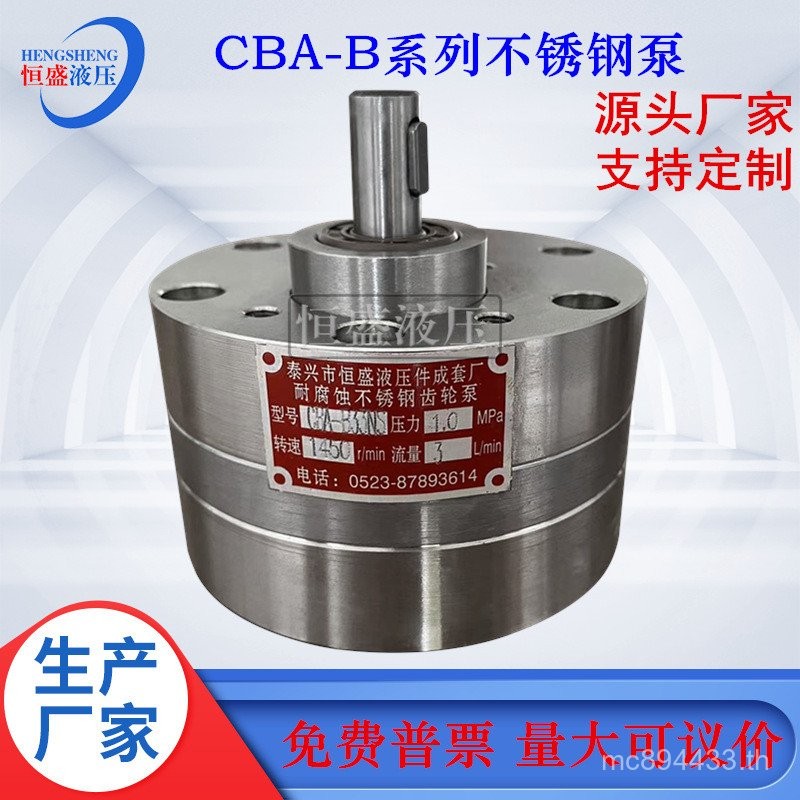 63NS ปั๊มเกียร์ B100NS20NSCBA-B0.5 NS สแตนเลสอุณหภูมิสูง 4NS ทนต่อการกัดกร่อน 80NS DHVL