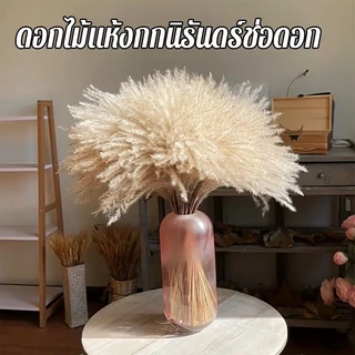 COD ช่อดอกไม้แห้ง40cm สไตล์นอร์ดิก แต่งบ้าน ของขวัญ ไม่ร่วงโรย ช่อดอกไม้รวมDIYหญ้าเปมเปาส หญ้าโลวีต์เล็ก