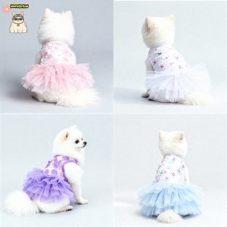 อุปกรณ์สัตว์เลี้ยง สุนัขสุนัขลูกไม้ ทูลเล ชุดสัตว์เลี้ยงสุนั…