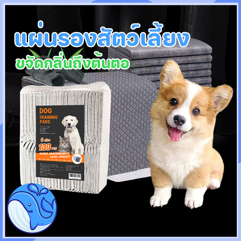 COD แผ่นรองฉี่สุนัข แมว  แผ่นรองฉี่สัตว์เลี้ยง ช่วยฝึกขับถ่าย ระงับกลิ่น ซึมซับได้ดี