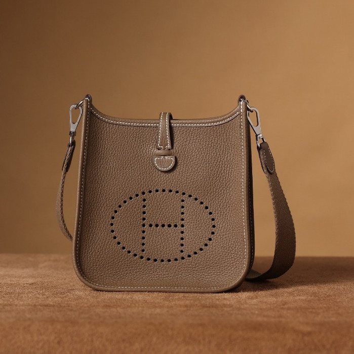 H Evelyne 16 gold buckle leather mini crossbody bag